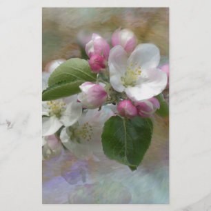 Apple Tree Blossoms Stationery