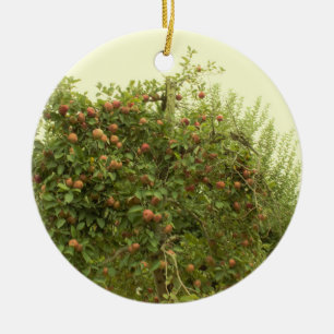 Apple Tree Ceramic Tree Decoration