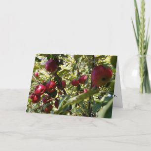 "Apple Tree" Congratulatory Card