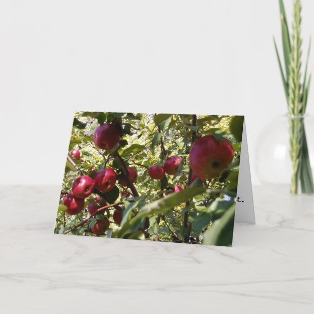 "Apple Tree" Congratulatory Card (Front)