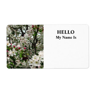 Apple Tree In Bloom