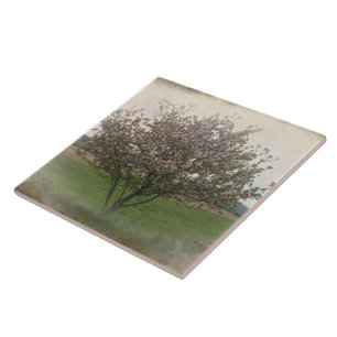 Apple Tree in Bloom Tile