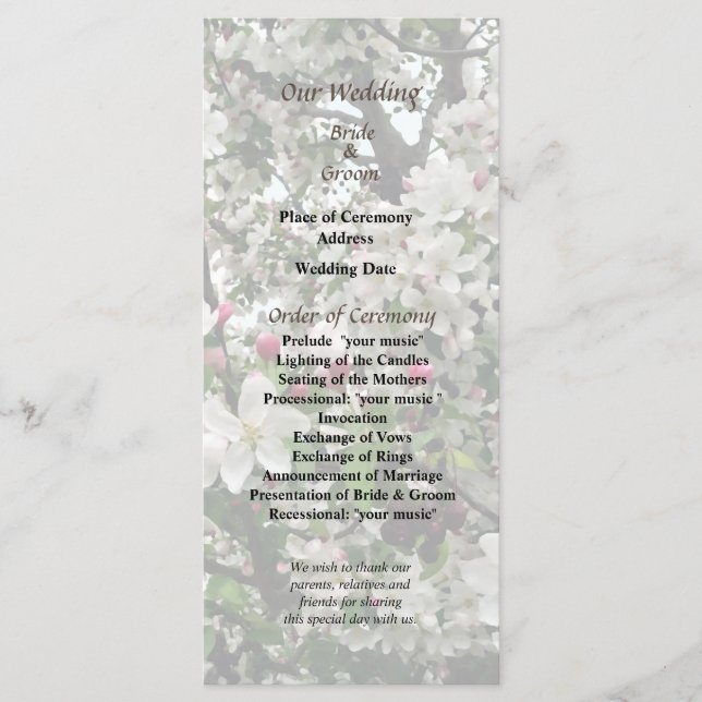 Apple Tree In Bloom Wedding Program Programme (Front)