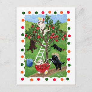 Apple Tree Labradors (dot) Postcard