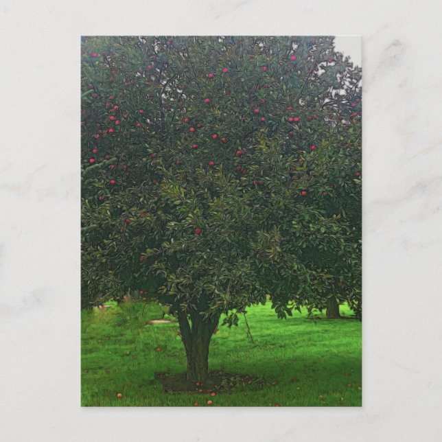 Apple Tree Postcard (Front)