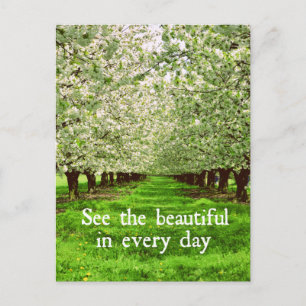 Apple Trees Blossoms with Inspirational Quote Postcard