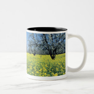 Apple trees in a mustard field, Napa Valley, Two-Tone Coffee Mug