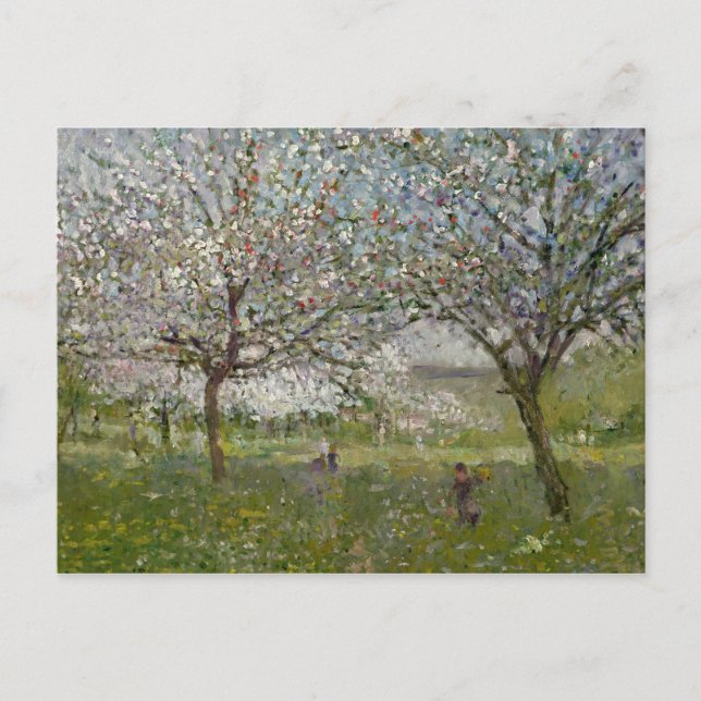 Apple Trees in Flower Postcard (Front)