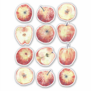 Apple Watercolor Fruit