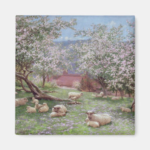 Appleblossom Magnet