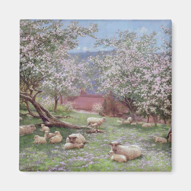 Appleblossom Magnet (Front)