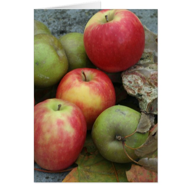 apples (Front)
