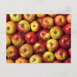 Apples Background Postcard