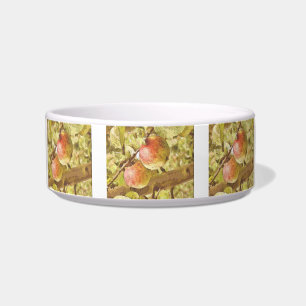 APPLES BOWL