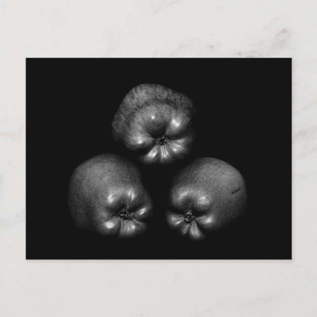 Apples - Fine Art Classic Elegant Fun Unique Postcard (Front)