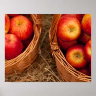 Apples In Baskets Poster