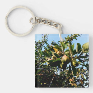 Apples Key Ring