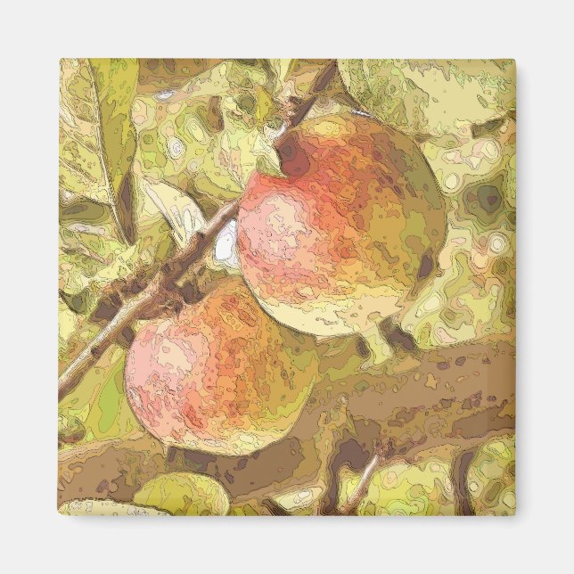APPLES MAGNET (Front)