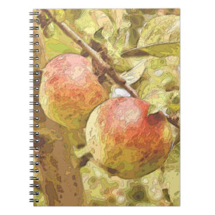 APPLES NOTEBOOK