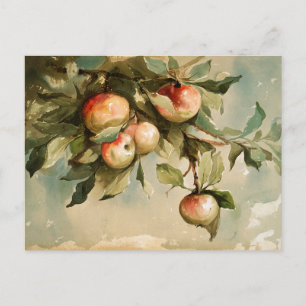 Apples on a Branch Postcard