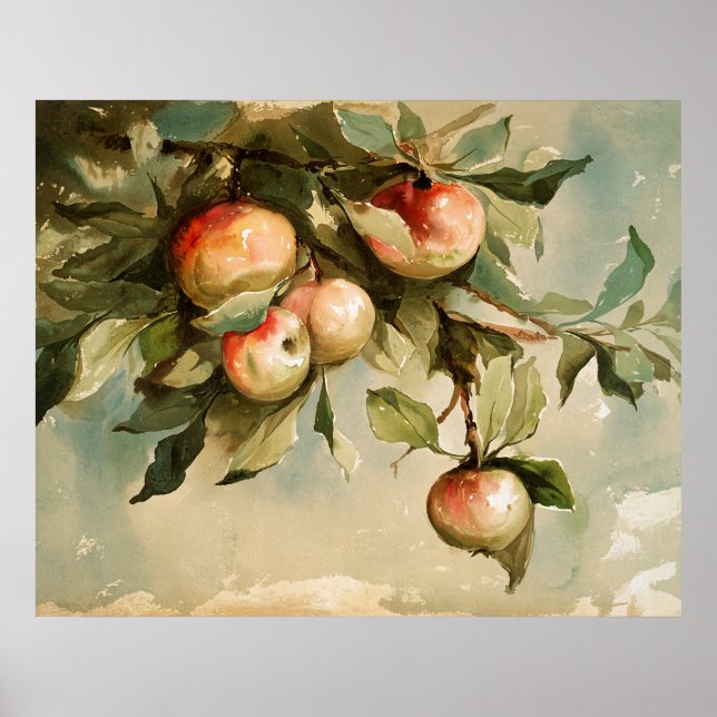 Apples on a Branch Poster (Front)