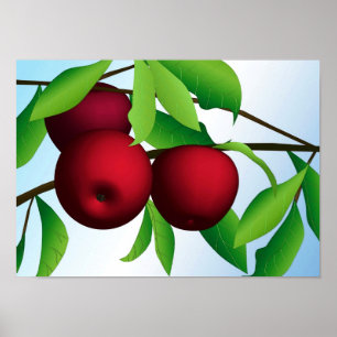 "Apples on a Branch" print
