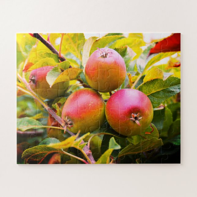 Apples on a tree jigsaw puzzle (Horizontal)