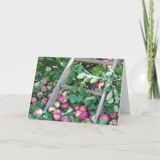 Apples on an Autumn Day Card