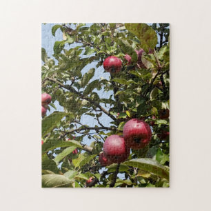 Apples on Apple Tree Jigsaw Puzzle