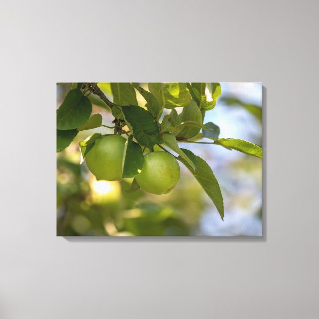 Apples on Branch Canvas Print (Front)