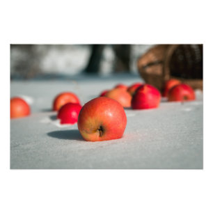 Apples on the snow photo print