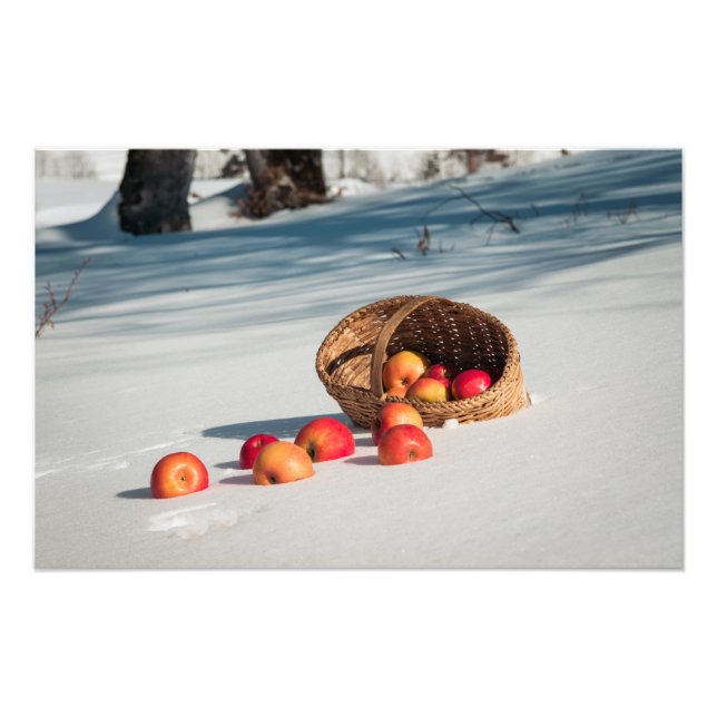 Apples on the snow photo print (Front)