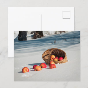 Apples on the snow postcard
