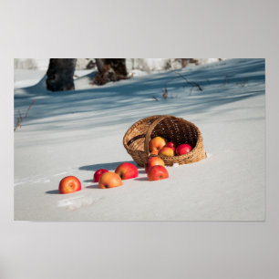 Apples on the snow poster