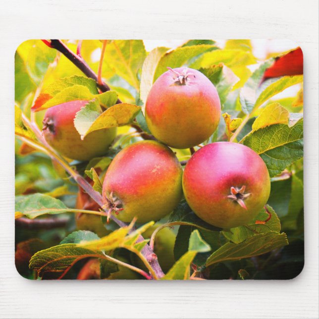 Apples on the tree mouse pad (Front)