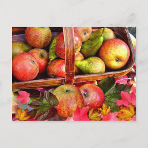 APPLES & PEARS ~ Postcard