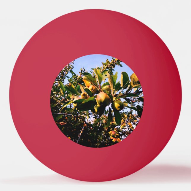 Apples Ping Pong Ball (Front)