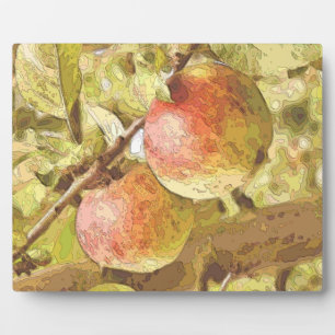APPLES PLAQUE