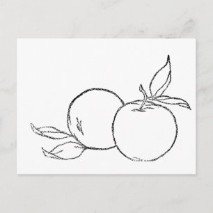 Apples Postcard