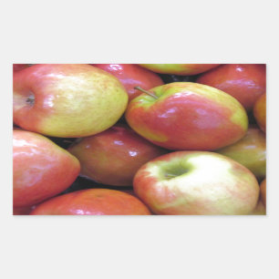 Apples Rectangular Sticker