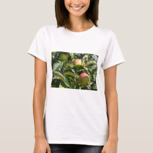 Apples ripening on an apple tree T-Shirt