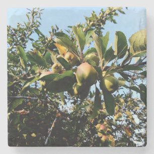 Apples Stone Coaster