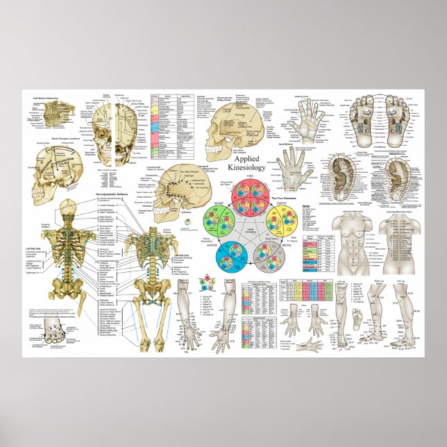 Applied Kinesiology Chiropractic Osteopath Poster (Front)