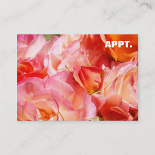 Appointment Reminder Cards Pink Rose Flowers