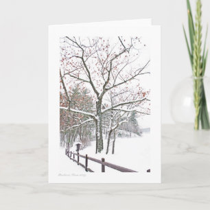 +Appointments in Nature: Greeting size Card