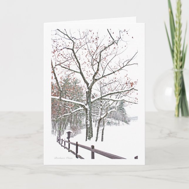 ***Appointments in Nature: Holiday Greeting Card (Front)