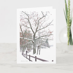 ***Appointments in Nature: Holiday Greeting Card