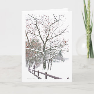 ***Appointments in Nature: Holiday Greeting Card