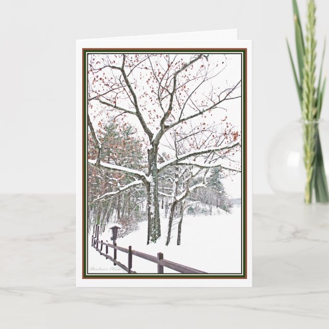 ***Appointments in Nature: Holiday Greeting Card (Front)
