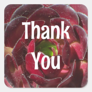 Appreciation Succulent Photo Red Plant Thank You Square Sticker